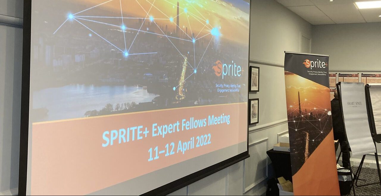 SPRITE+ Expert Fellows Meeting 2022